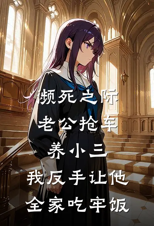 濒死之际老公抢车养小三，我反手让他全家吃牢饭沈慕寒帕拉梅拉完整版免费阅读_沈慕寒帕拉梅拉精彩小说