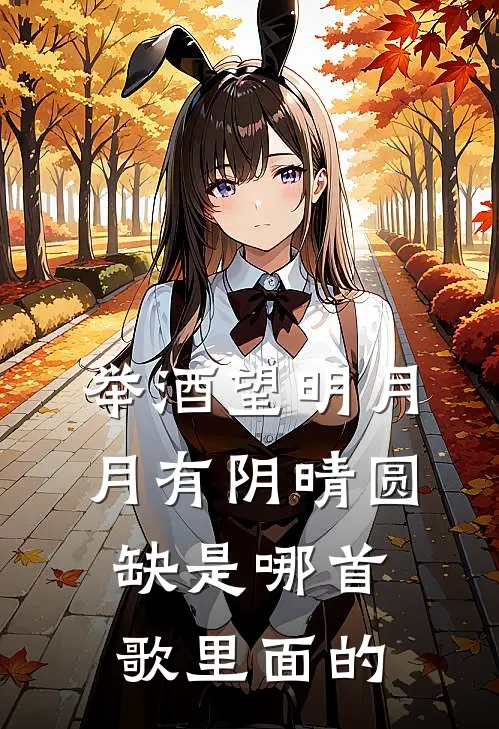 举酒望明月月有阴晴圆缺是哪首歌里面的