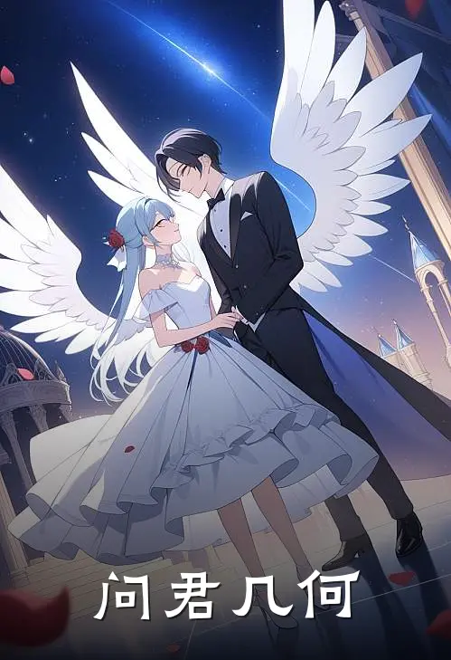 问君几何